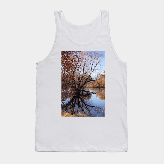 Looking Glass Tank Top by VKPelham